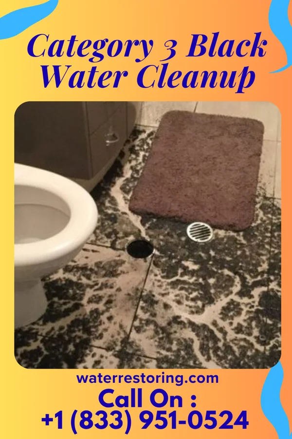 Category 3 Black Water Cleanup in Flowood, MS