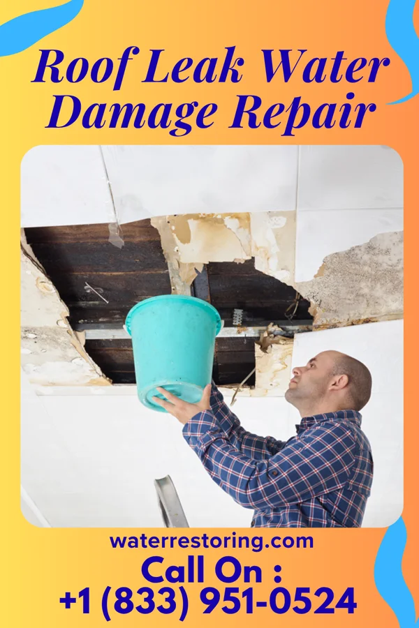 Roof Leak Water Damage Repair in Flowood, MS