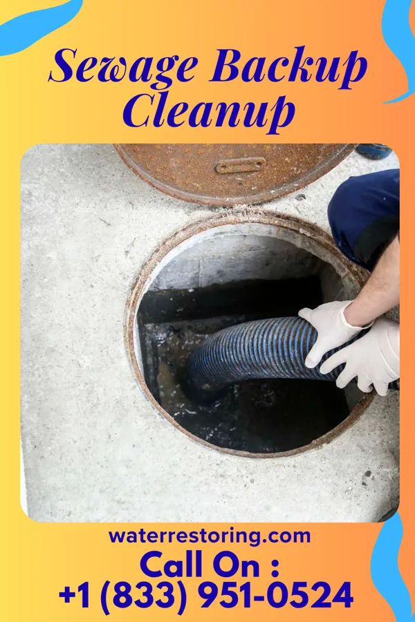 Sewage Backup Cleanup in Flowood, MS